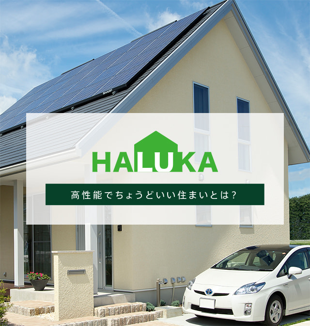haluka cuteシリーズ