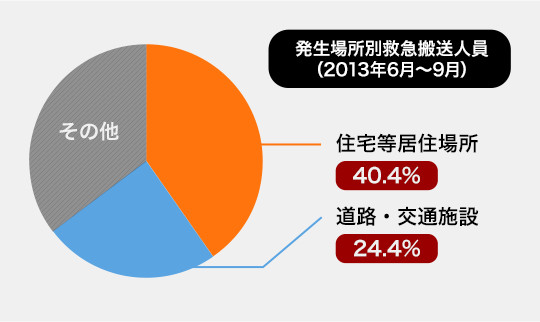 発生場所別救急搬送人員（2013年6月?9月）の円グラフ