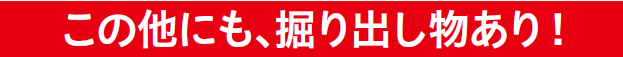 この他にも、掘り出し物あり!